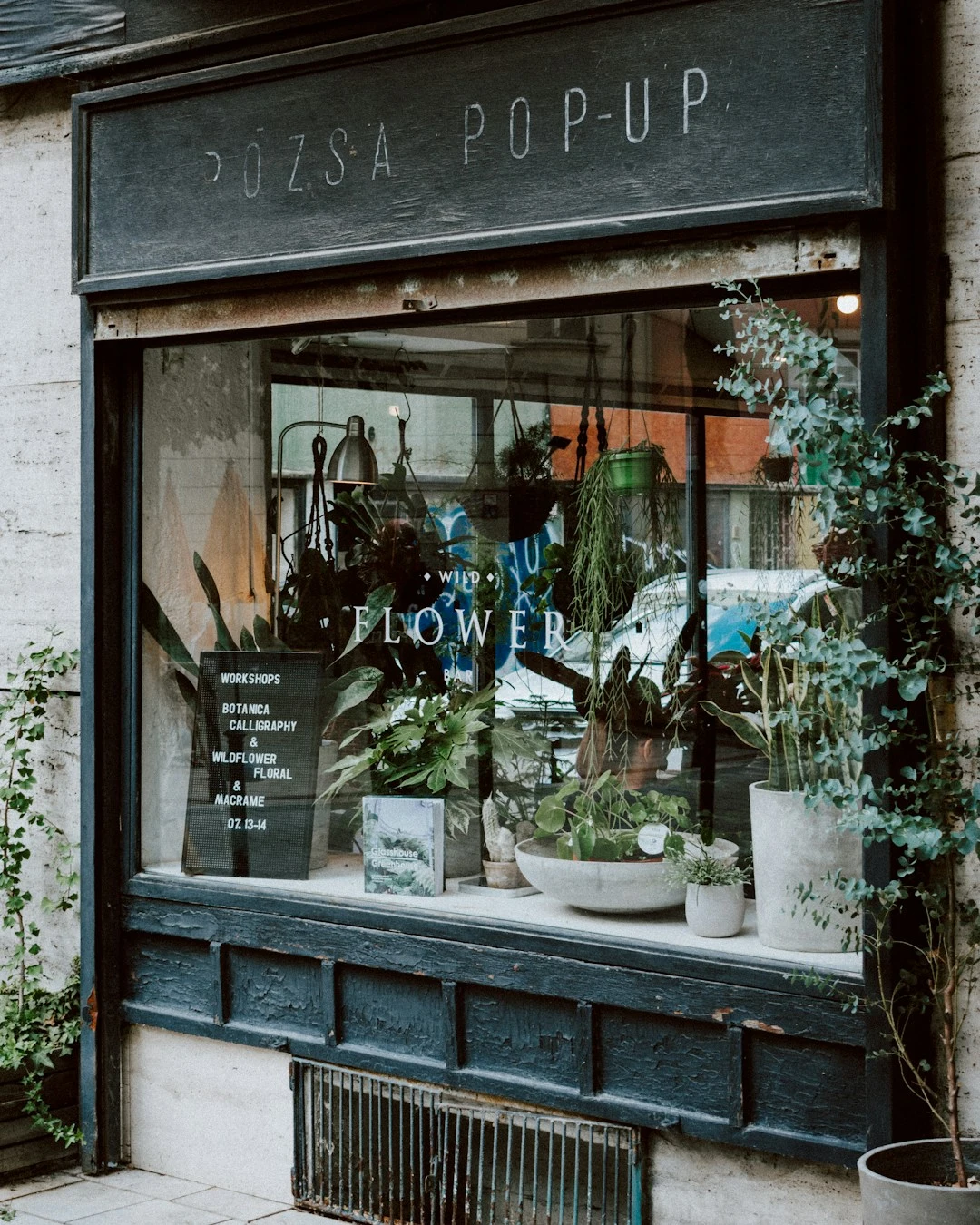Image de présentation